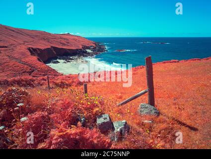 Portheras Cove, près de Pendeen, Cornwall, Royaume-Uni Banque D'Images