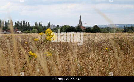 La terre autour de Sevington dans Ashford, Kent, comme on entend le ministère des Transports est en train d'acheter un site de 27 acres près d'Ashford, alors qu'il se prépare à quitter l'UE à la fin de l'année. Date de la photo: Mardi 14 juillet 2020. Le gouvernement a été critiqué pour son manque de communication avec les résidents, ce que le député local a déclaré en raison de son manque de communication pour trouver un endroit où se déversoir un camion. Voir l'histoire de l'AP POLITICS Brexit Ashford. Le crédit photo devrait se lire: Gareth Fuller/PA Wire Banque D'Images