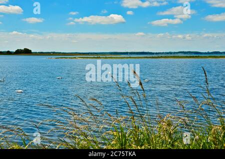 Belle zone de réserve naturelle intégrale en Allemagne, sur la côte est à Gelting, avec eau et navires et voiliers Banque D'Images