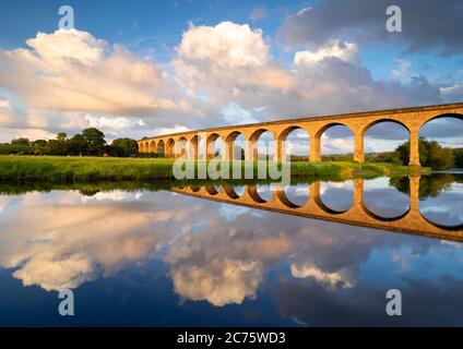 Viaduc Arthington se reflète dans la rivière Wharfe sur un beau, calme soirée d'été au cours de l'heure d'or que les vaches broutent au bord de la rivière. Banque D'Images