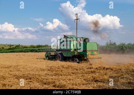 Vue arrière de la moissonneuse-batteuse travaillant sur un champ de blé. Agriculture concept de récolte. Bannière panoramique. Banque D'Images