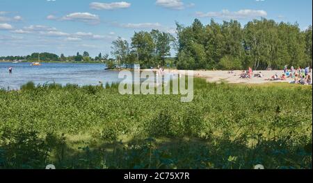 Steinhude, Allemagne, 29 mai 2020: Marais près de la plage de baignade au Steinhuder Meer, un grand lac intérieur en Allemagne, au début de la b Banque D'Images