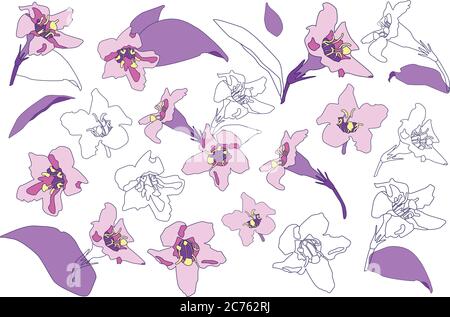Ensemble vectoriel de fleurs abstraites en fleurs. Fleurs violettes ensemble. Illustration de fleurs violettes isolées. Illustration de Vecteur