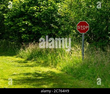 Œuvres d'art originales panneau d'avertissement Stop inquiétante sur le sentier de campagne herbeux, Gifford, East Lothian, Écosse, Royaume-Uni Banque D'Images