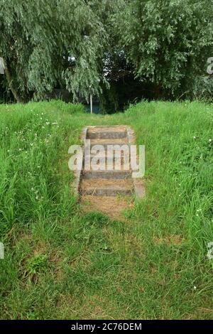 Escaliers en béton sur le remblai surcultivés avec de l'herbe. Été. Banque D'Images