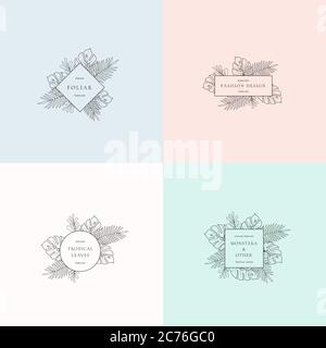Ensemble de panneaux de mode Monstera Tropical Leaves ou de modèles de logo. Le feuillage abstrait avec frontières et la typographie de classe. Idéal pour les mariages ou les fêtes Illustration de Vecteur