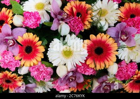 Télévision fleurs composition laïcs Banque D'Images