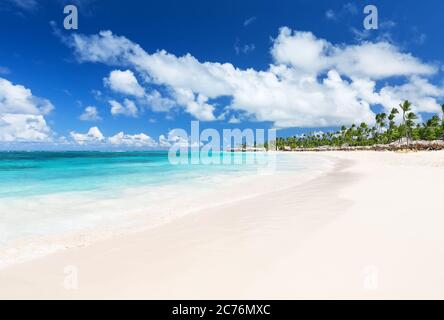 Palmiers à noix de coco sur la plage de sable blanc de Bavaro à Punta Cana, République dominicaine Banque D'Images