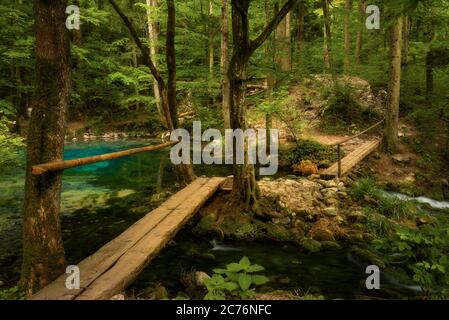 Lac de l'oeil de la BEI, lacul Ochiul BEI en Roumanie Comté de Caras Severin dans les gorges de la Nera Chérile Nerei avec un pont en bois traversant le lac au fond de la forêt Banque D'Images