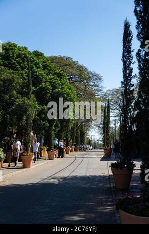 Vue sur la rue Doria Vasconcelos presque entière sans circulation et avec quelques personnes marchant sur le trottoir près de Casa Bela - café et restaurant. Banque D'Images