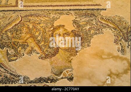 Visage de la femme connue sous le nom de la Joconde de la Galilée, mosaïque de carreaux dans la Maison de Dionysos qui est devenue l'image caractéristique du Parc national de Zippori dans la Basse-Galilée d'Israël. On croit que les mosaïques ont 1700 ans. Le parc présente les ruines de l'ancienne ville romaine/byzantine de Zippori. Les fouilles ont révélé des rues, des bâtiments publics, des églises, des synagogues, des maisons et de magnifiques peintures murales en mosaïque. Le parc est ouvert pour des visites guidées à pied. Banque D'Images