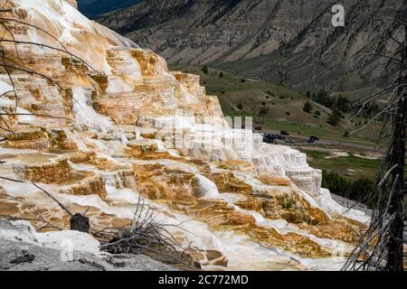 Les terrasses de sources chaudes donnent sur les sources thermales de Mammoth dans le parc national de Yellowstone Banque D'Images