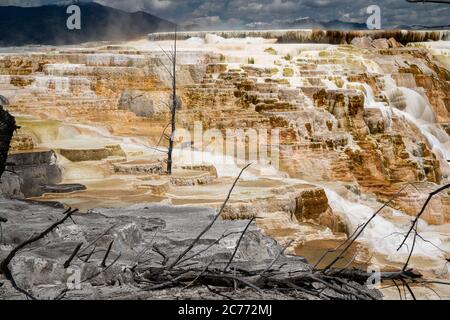 Les terrasses de sources chaudes donnent sur les sources thermales de Mammoth à Canary Springs dans le parc national de Yellowstone Banque D'Images