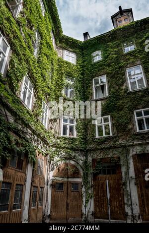 Cour d'UN bâtiment historique avec portes en bois et murs trop grands Ivy Banque D'Images