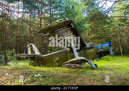 Ancien avion abandonné dans la forêt Banque D'Images