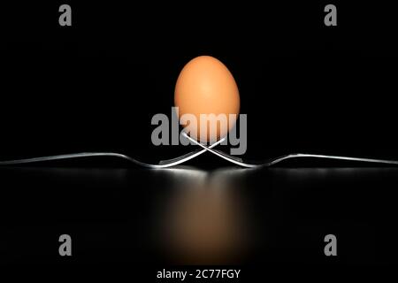 Œuf frais bio debout sur deux fourchettes jointes sur fond noir Banque D'Images