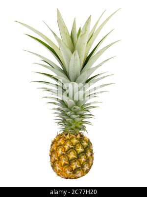 ananas isolé sur fond blanc. Enregistrer avec le masque Banque D'Images