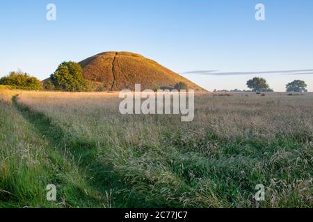 Silbury Hill en été au lever du soleil. Avebury, Wiltshire, Angleterre Banque D'Images