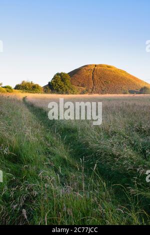 Silbury Hill en été au lever du soleil. Avebury, Wiltshire, Angleterre Banque D'Images