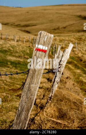 Signe GR. Un panneau pour la Grande Randonnee en France, rampe à Cezallier, Parc naturel régional des Volcans d'Auvergne, Puy de Dome, France, Europe Banque D'Images