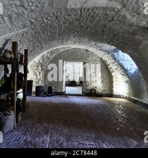 Pologne, Basse-Silésie, dans le village de Lomnica, sous-sol du palais Lomnica et de la propriété du Grand Palais Gothique et de la famille Von Kuster depuis 1835, origine du château en pierre date de 1391.le palais restauré abrite désormais un hôtel confortable, un restaurant et un parc de 9 hectares et il a retrouvé toute sa beauté et sa splendeur Banque D'Images