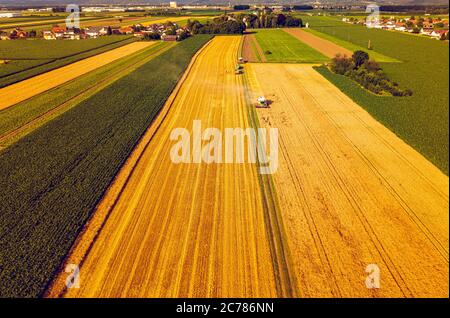 Une moissonneuse-batteuse moderne travaillant dans un champ de blé, vue aérienne Banque D'Images