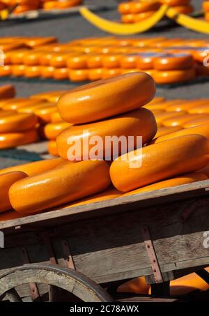 Fromage hollandais sur le célèbre marché aux fromages d'Alkmaar Banque D'Images