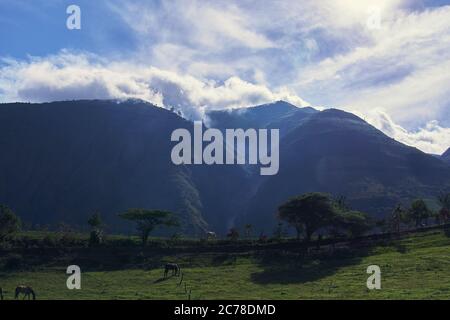 paysage de montagnes ensoleillées avec brume, nuages et chevaux, scène rurale Banque D'Images