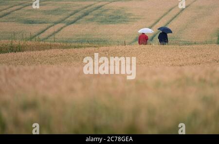 15 juillet 2020, Bade-Wurtemberg, Jungholzhausen: Deux marcheurs marchent entre les champs avec parasols. Photo: Marijan Murat/dpa Banque D'Images