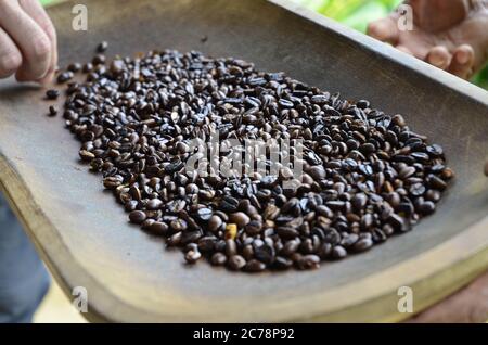 Le bac de grains de café fraîchement torréfié - Salento, Colombie Banque D'Images