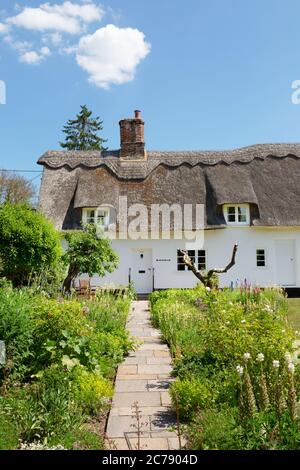 Maison de campagne anglaise traditionnelle de chaume, jardin de maison et chemin d'accès à la porte d'entrée, Dalham village Suffolk East Anglia England Banque D'Images