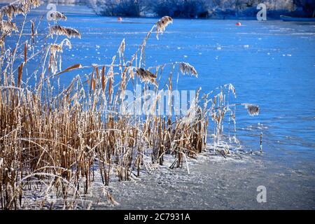 Lac de Llangorse Powys Brecon Beacons au Pays de Galles en hiver Banque D'Images