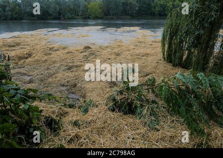 Potsdam, Allemagne. 15 juillet 2020. Vue sur l'Aradosee après la détonation d'une bombe de la guerre mondiale. Environ 7500 personnes, vivant dans la zone restreinte d'environ 800 mètres autour du site, ont dû quitter leurs maisons jusqu'à 8.00 heures du matin. Credit: Julian Stähle/dpa-Zentralbild/ZB/dpa/Alay Live News Banque D'Images