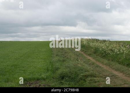 Figure unique traversant les terres arables au début du printemps Banque D'Images