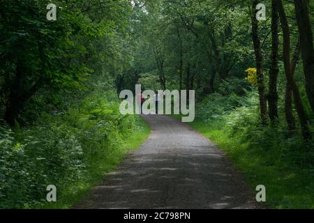 deux femelles se promenant le long d'une allée feuillue bordée d'arbres, le long d'une chaude journée ensoleillée au début de l'été Banque D'Images