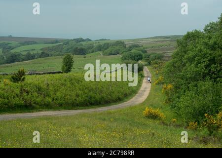 personne seule marchant sur ses chiens le long d'un chemin de campagne en courbe avec des terres agricoles et des landes de chaque côté Banque D'Images