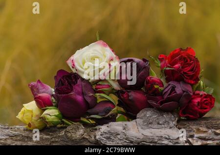 Composition de roses multicolores. Beaucoup de couleurs de roses. Roses mélangées dans un arrangement floral de décoration de mariage Banque D'Images