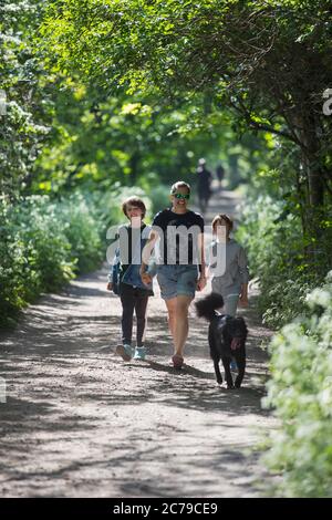 Mère et fils avec chien marchant sur le sentier ensoleillé du parc Banque D'Images