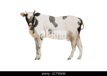 Aquarelle vache noir et blanc . Illustration originale d'un animal de ferme isolée sur fond blanc Banque D'Images