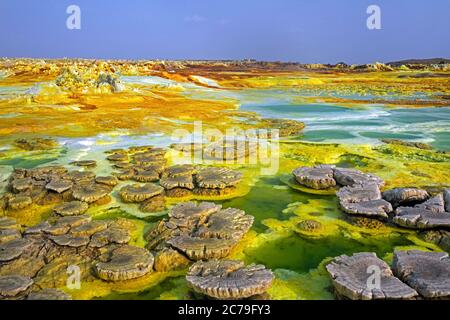 Les sources de soufre / sources chaudes de Dallol dans la dépression de Danakil décharge la saumure et le liquide acide dans les étangs d'acide vert, région d'Afar, Ethiopie, Afrique Banque D'Images