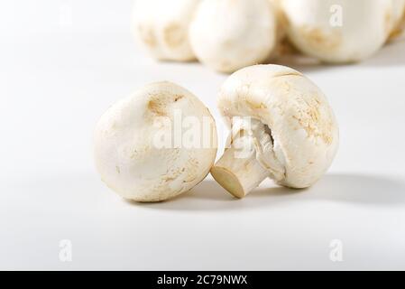 Champignons frais macro pousse. Gros plan de champagnes blancs tranchés. Banque D'Images