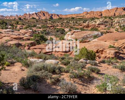 Petrified Dunes, parc national d'Arches, Utah, États-Unis Banque D'Images