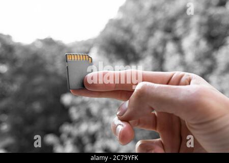 les doigts tiennent une carte mémoire sd flash grise, mise au point sélective, à l'extérieur. concept de stockage d'informations Banque D'Images