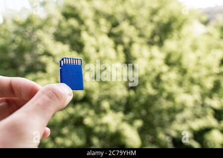 Les doigts maintiennent la carte mémoire SD devant des arbres verts flous Banque D'Images