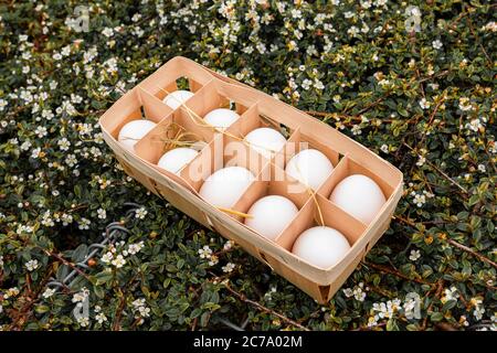 oeufs de ferme biologiques blancs de poulets de gamme libre dans le récipient en bois, herbe verte avec fleurs blanches en arrière-plan, à l'extérieur Banque D'Images