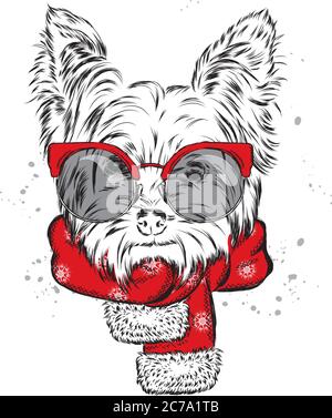 Un chiot mignon avec cache-oreilles et foulard. Illustration vectorielle pour une carte ou une affiche. Imprimer sur des vêtements. Beau chien. Nouvel an et Noël. Hiver. Chaud Illustration de Vecteur