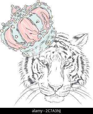 Tigre dans la couronne. Illustration vectorielle. Très grand lit. Illustration de Vecteur