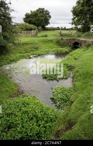 Le ruisseau Inchford en été, Warwickshire, Angleterre, UKB Banque D'Images