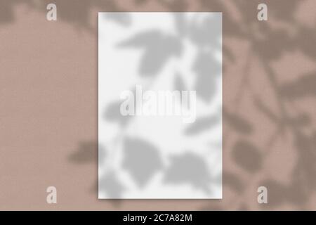 Maquette d'une carte papier avec ombre d'arbre Banque D'Images