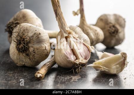 Ail blanc originaire de la maison. Bulbes d'ail bio sur table noire. Banque D'Images